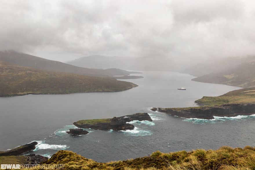 I Went To The Southern Ocean And Observed Penguins And Albatrosses. I Went To The Southern Ocean And Observed Penguins And Albatrosses.