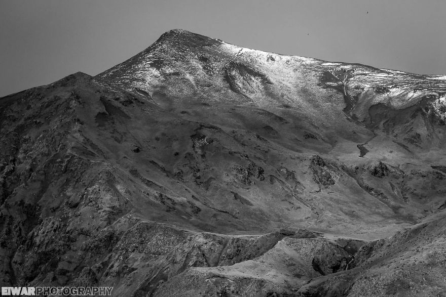 I Went To The Southern Ocean And Observed Penguins And Albatrosses.