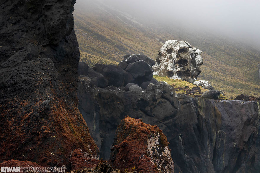 I Went To The Southern Ocean And Observed Penguins And Albatrosses. I Went To The Southern Ocean And Observed Penguins And Albatrosses.