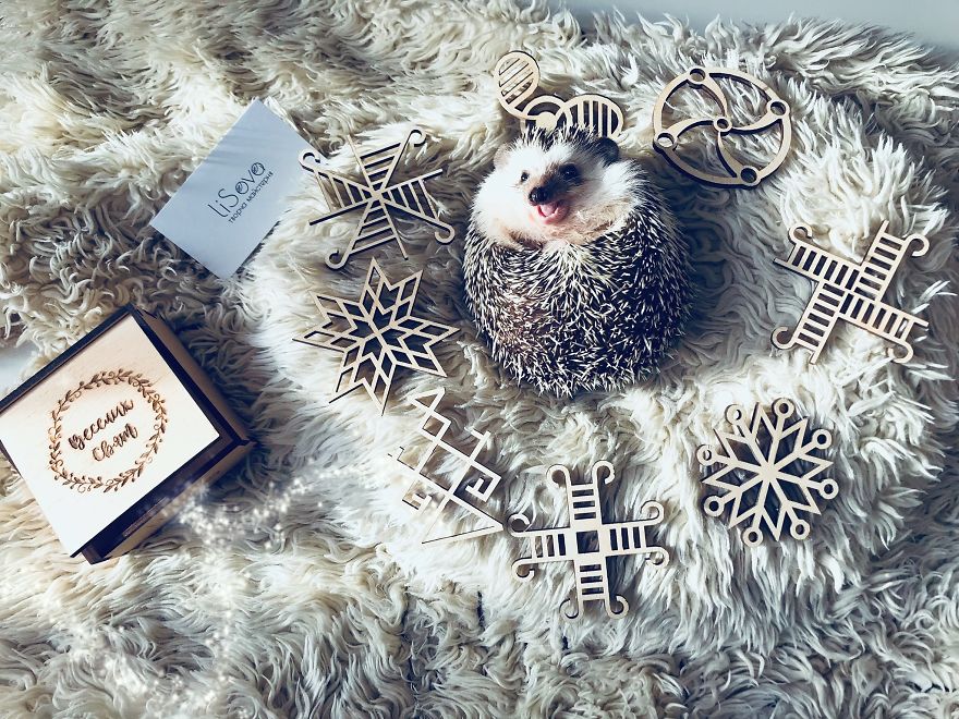 Christmas Decorating With Rick