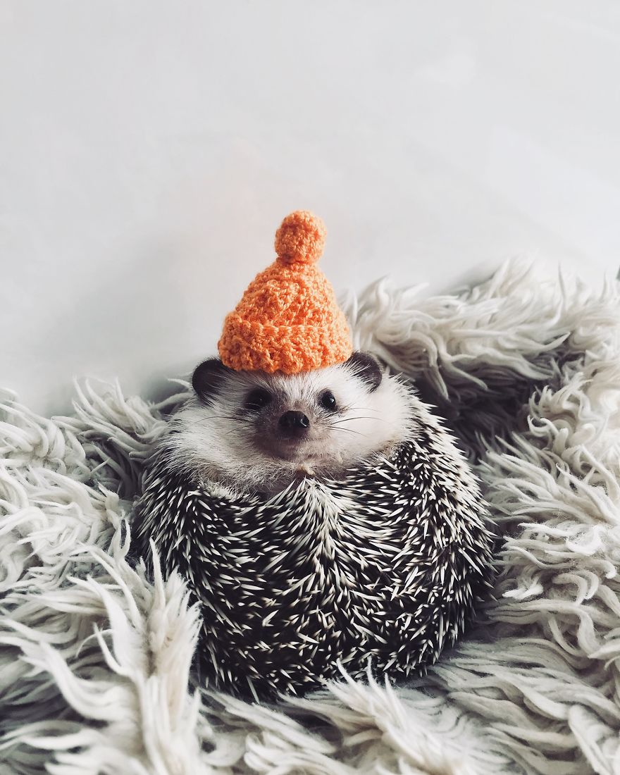 When It’s Too Cold Outside