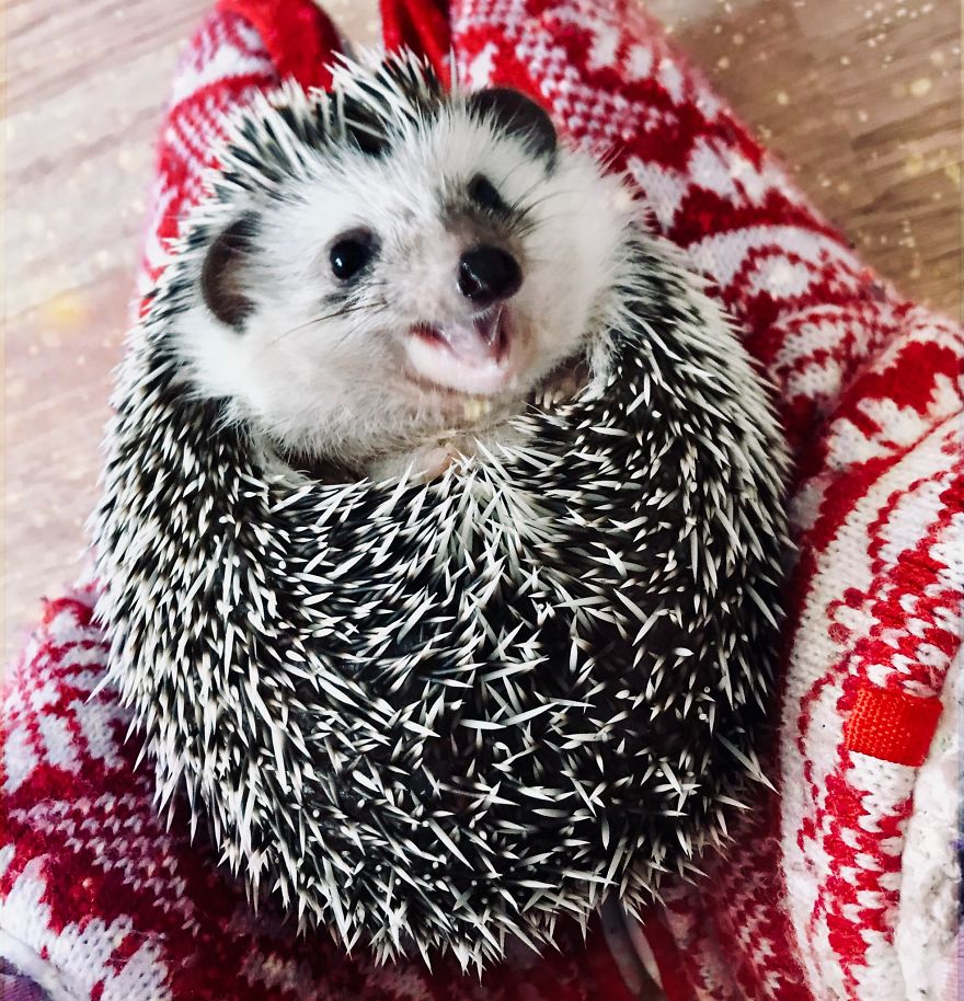 It’s The Most Wonderful Time Of The Year