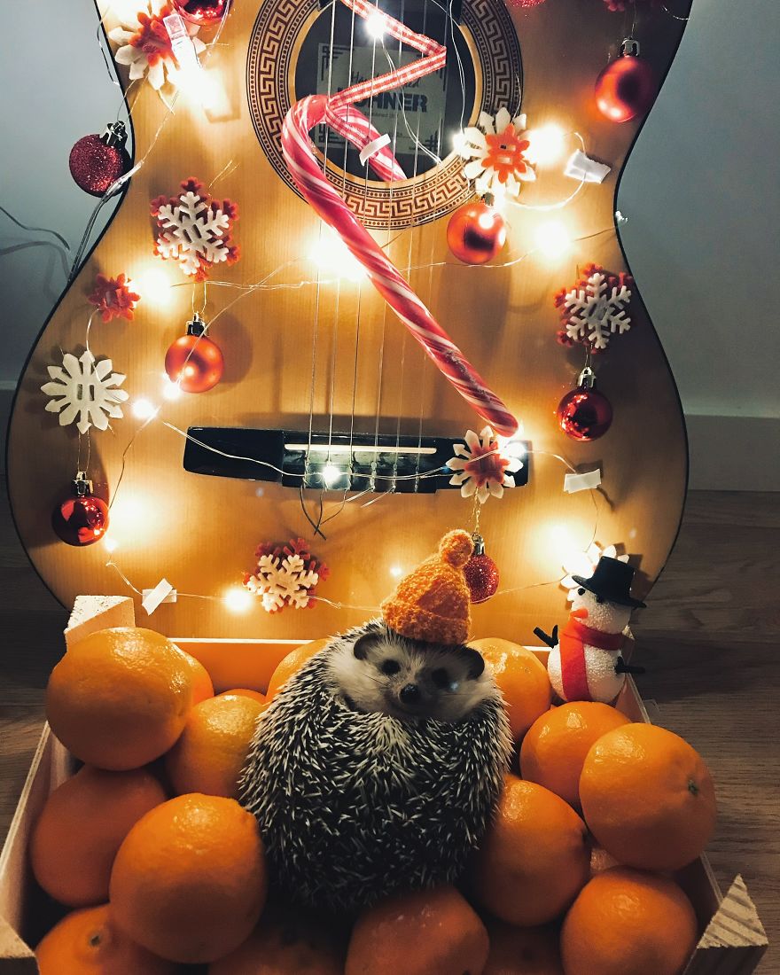 Tiny Christmas Miracle