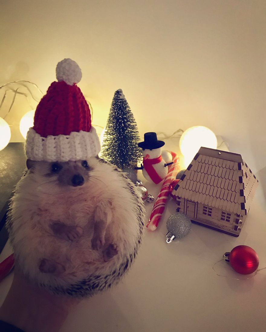 Tell Me The Truth, Does This Hat Make Me Look Fat?