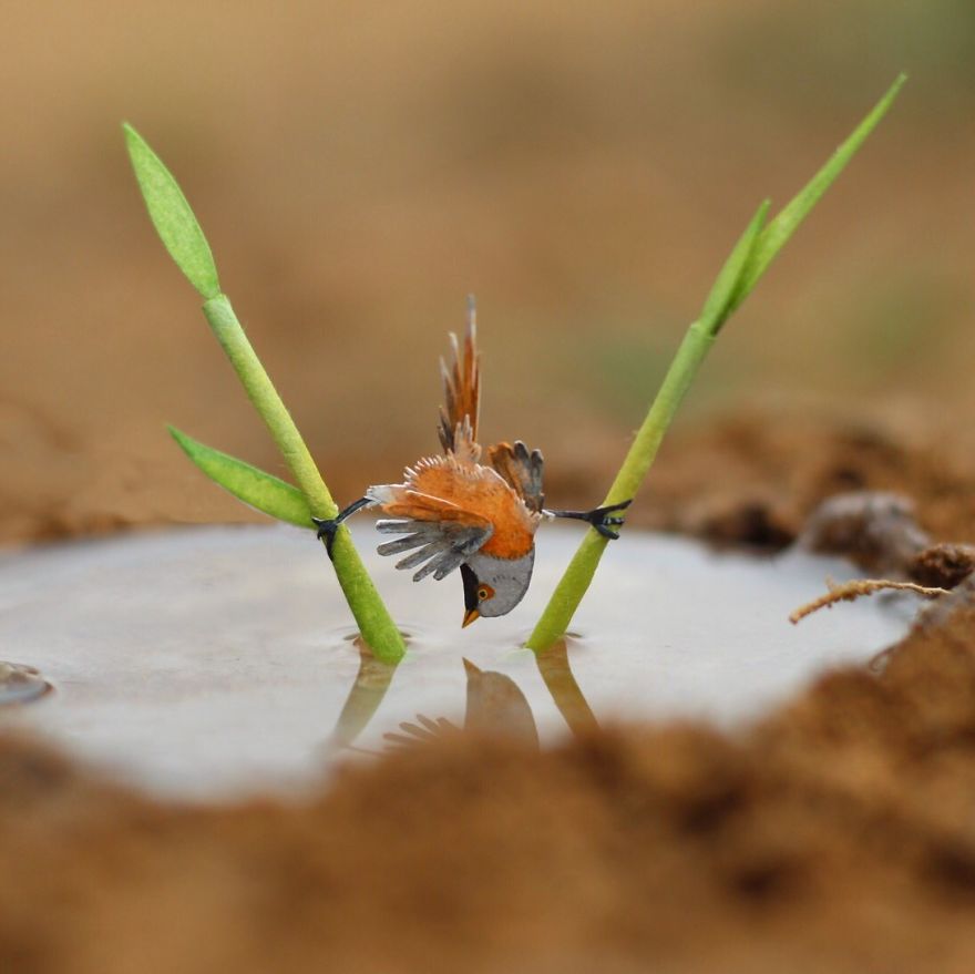 Bearded Reedling