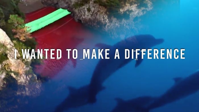I Saw A Disturbing Video Of Dolphins Being Slaughtered, So I Decided To Volunteer To Stop It.