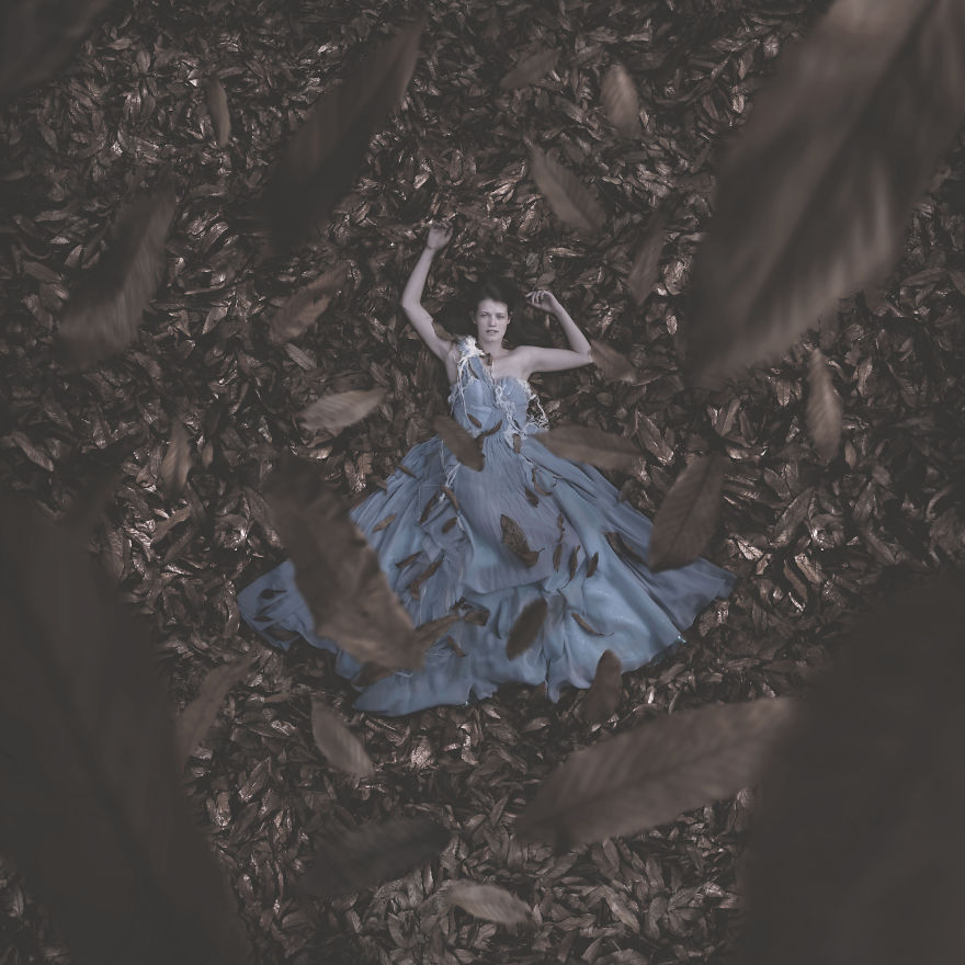 The Peace Of Wild Things