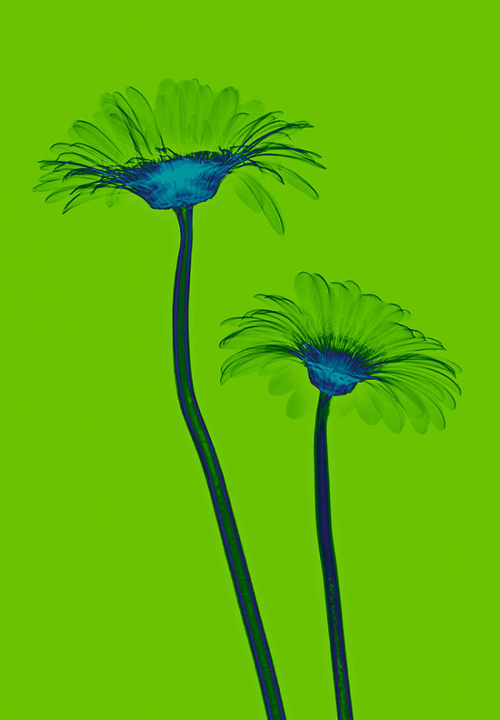 I Create Colourful Art By Using X-Rays!