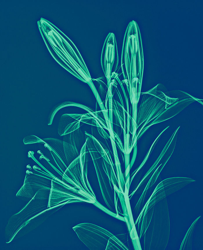 I Create Colourful Art By Using X-Rays!