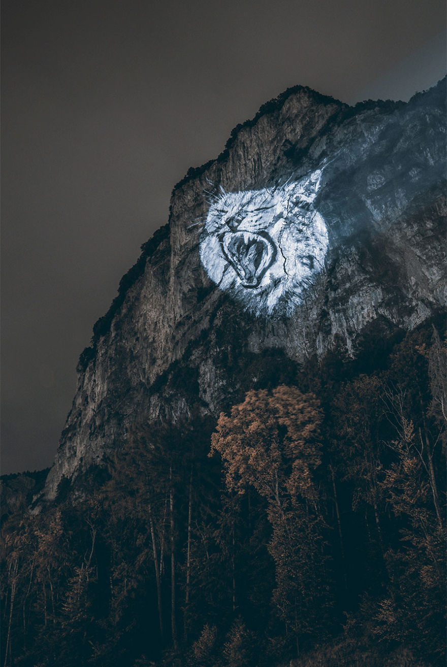 The Lynx And The Rain