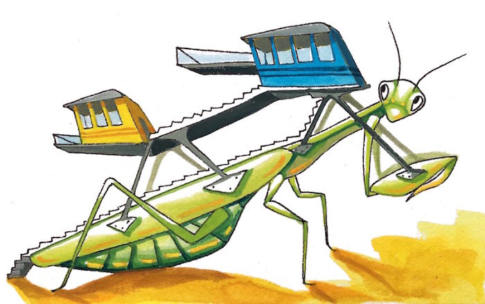 Praying Mantis House