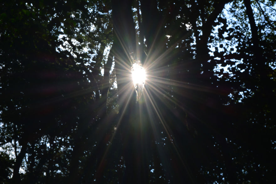 Nature Photography From Darjeeling, West Bengal, And India (24 Pics)