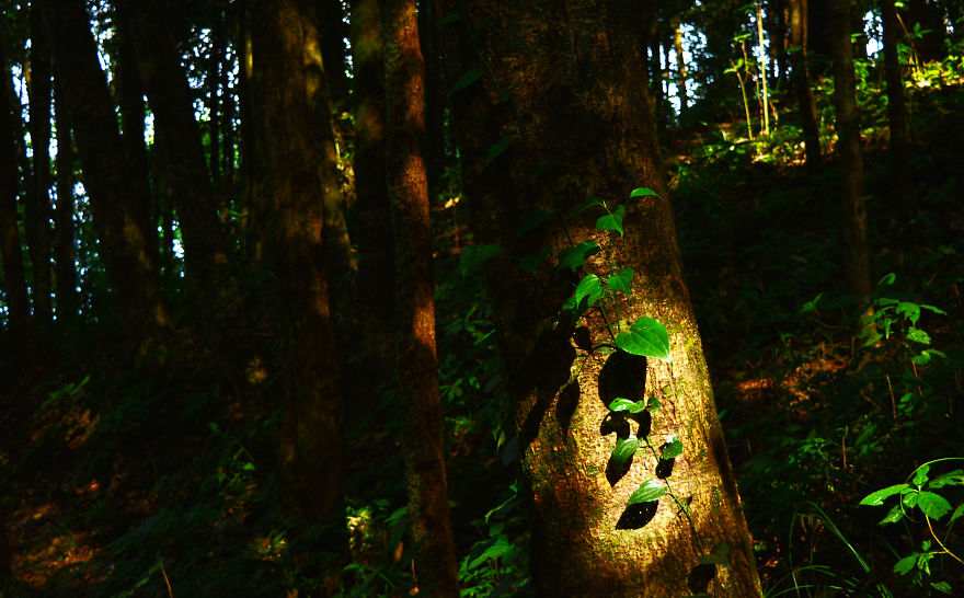 Nature Photography From Darjeeling, West Bengal, And India (24 Pics)