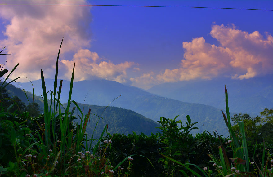 Nature Photography From Darjeeling, West Bengal, And India (24 Pics)