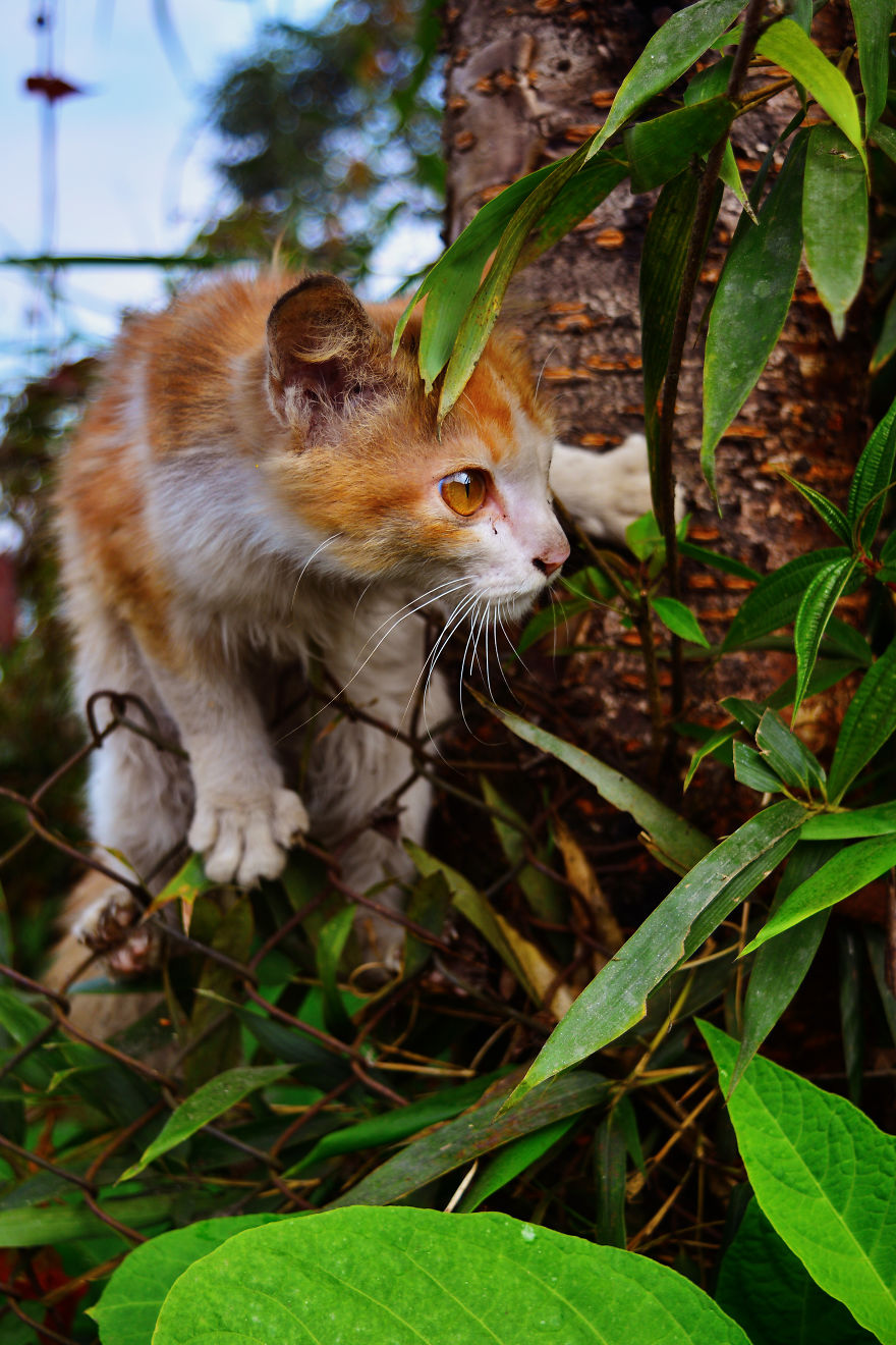 Nature Photography From Darjeeling, West Bengal, And India (24 Pics)