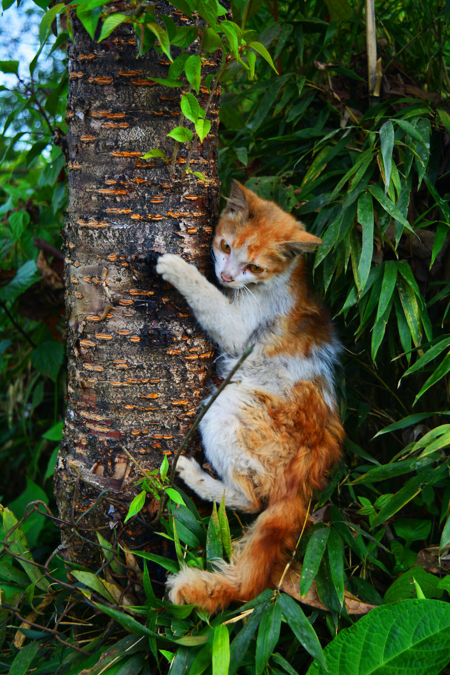 Nature Photography From Darjeeling, West Bengal, And India (24 Pics)