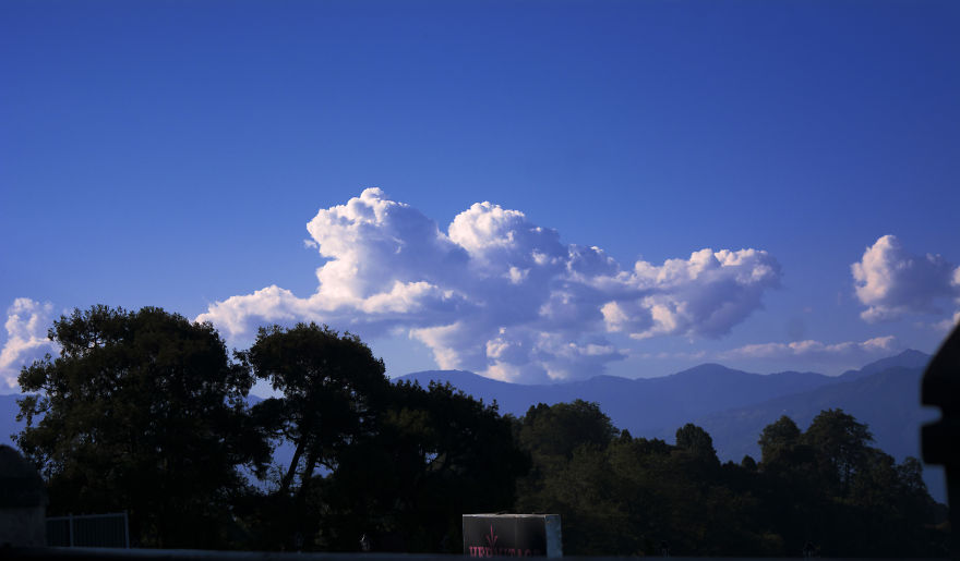 Nature Photography From Darjeeling, West Bengal, And India (24 Pics)