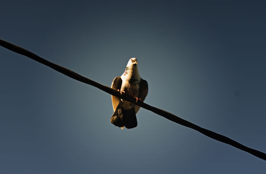 Nature Photography From Darjeeling, West Bengal, And India (24 Pics)