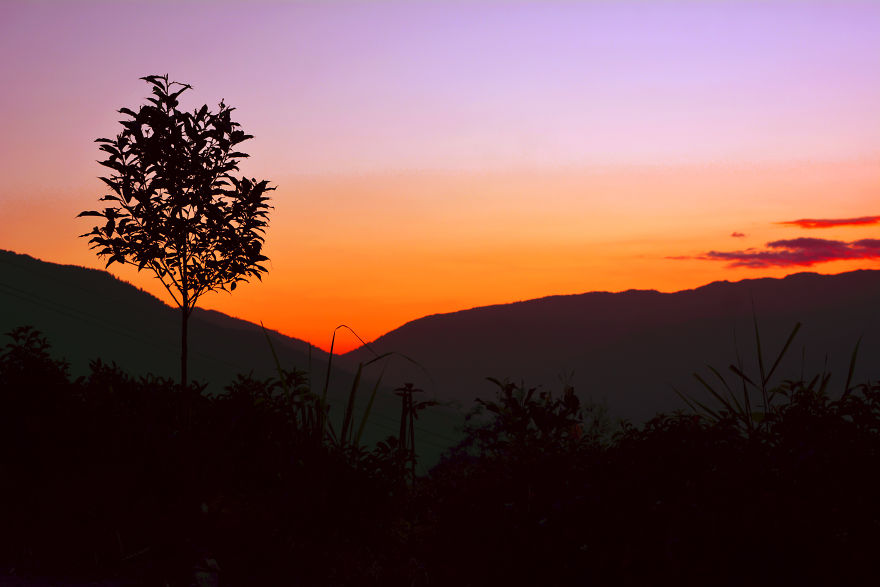 Nature Photography From Darjeeling, West Bengal, And India (24 Pics)