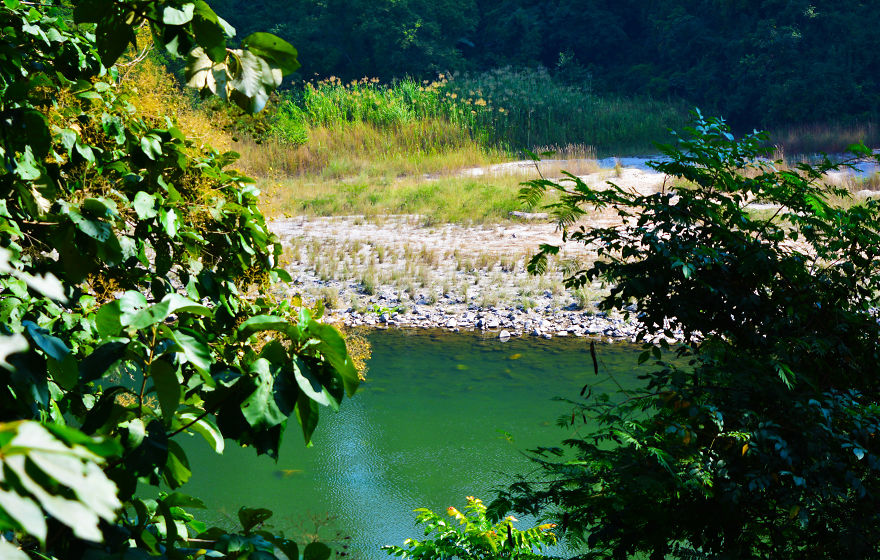 Nature Photography From Darjeeling, West Bengal, And India (24 Pics)