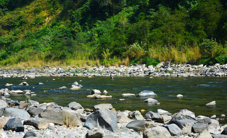 Nature Photography From Darjeeling, West Bengal, And India (24 Pics)