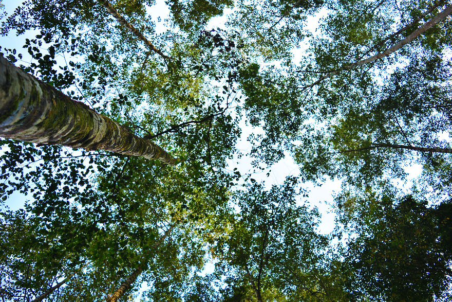 Nature Photography From Darjeeling, West Bengal, And India (24 Pics)