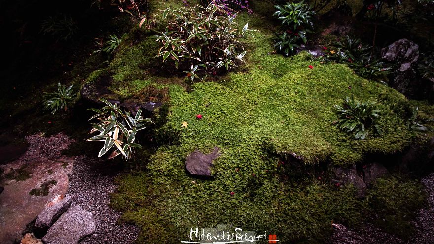 I Captured The Beautiful Fall In Kyoto