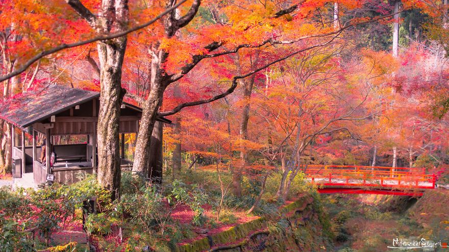 I Captured The Beautiful Fall In Kyoto