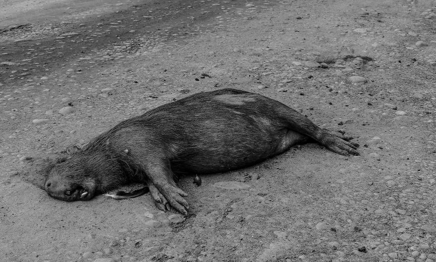 After Life - Bolivia