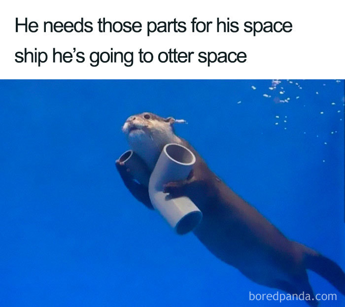 Otter holding pipes underwater, captioned about needing parts for a spaceship to travel to "otter space."