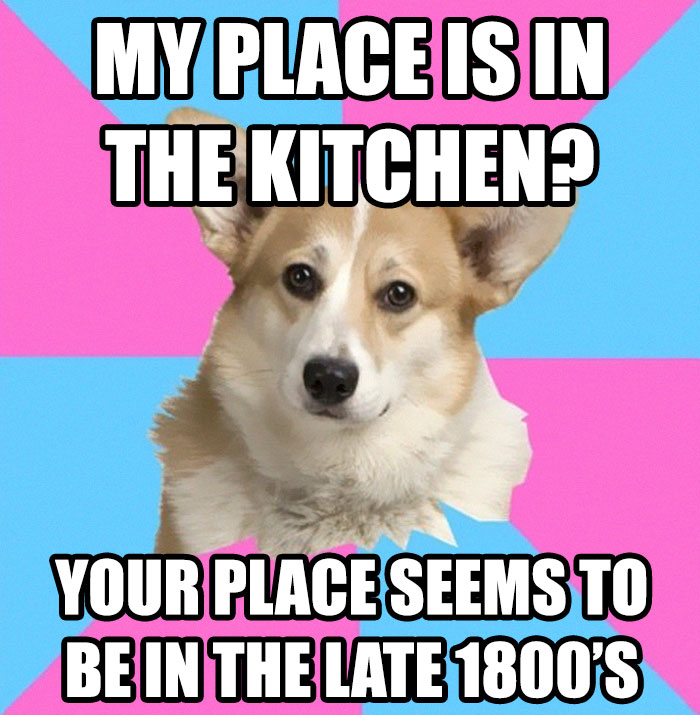 Corgi meme with a feminist message challenging outdated gender roles.