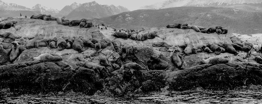 Beagle Channel - Argentina