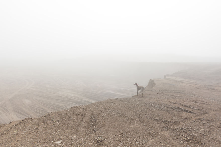 Sighthound Squad Photographic Journey Across Lithuania