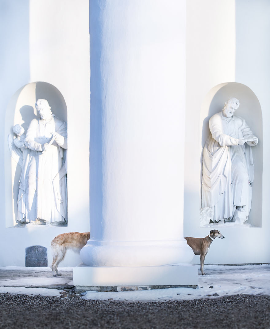 Sighthound Squad Photographic Journey Across Lithuania