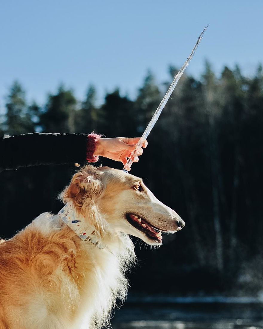 Sighthound Squad Photographic Journey Across Lithuania