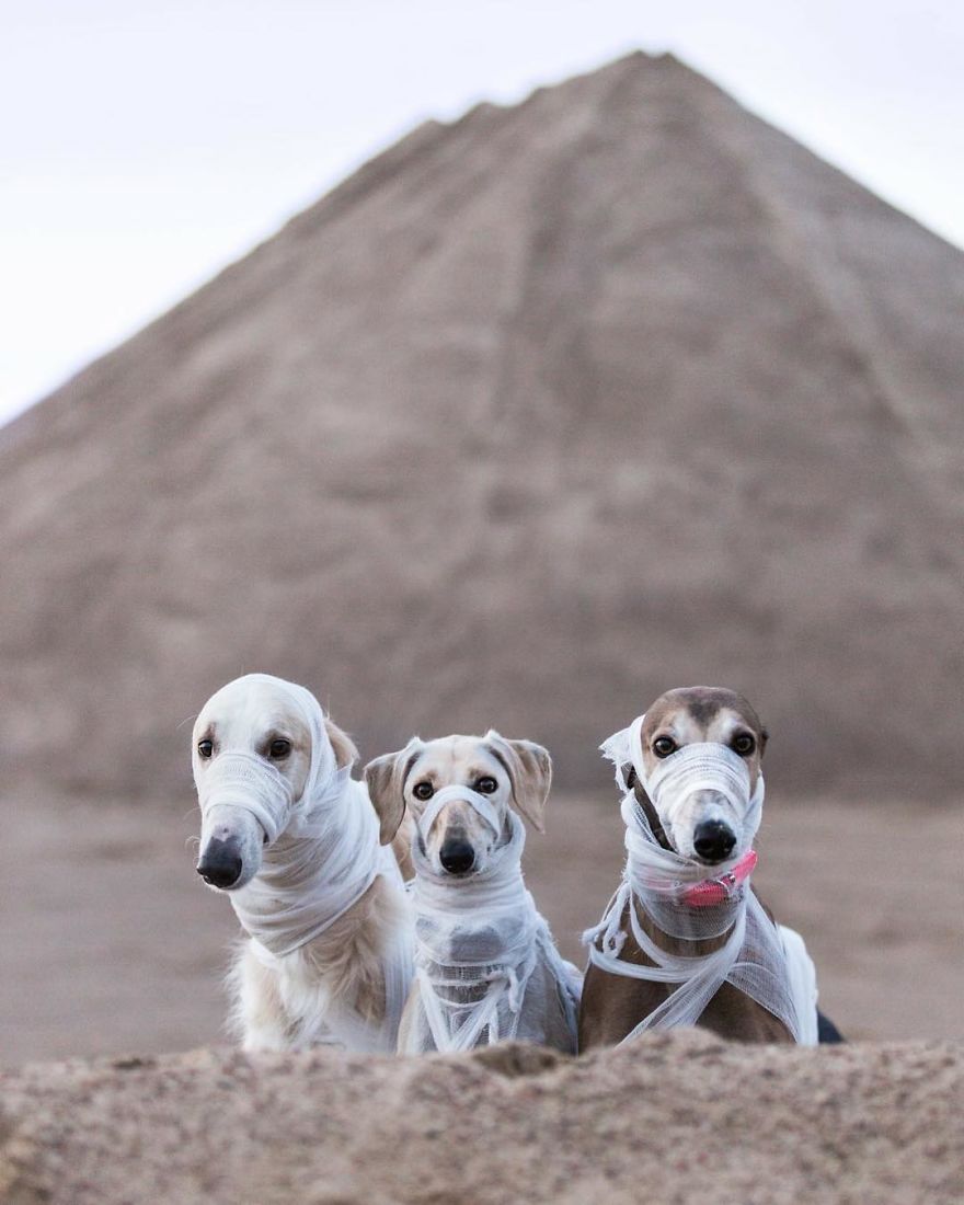 Sighthound Squad Photographic Journey Across Lithuania
