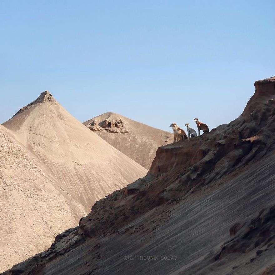 Sighthound Squad Photographic Journey Across Lithuania