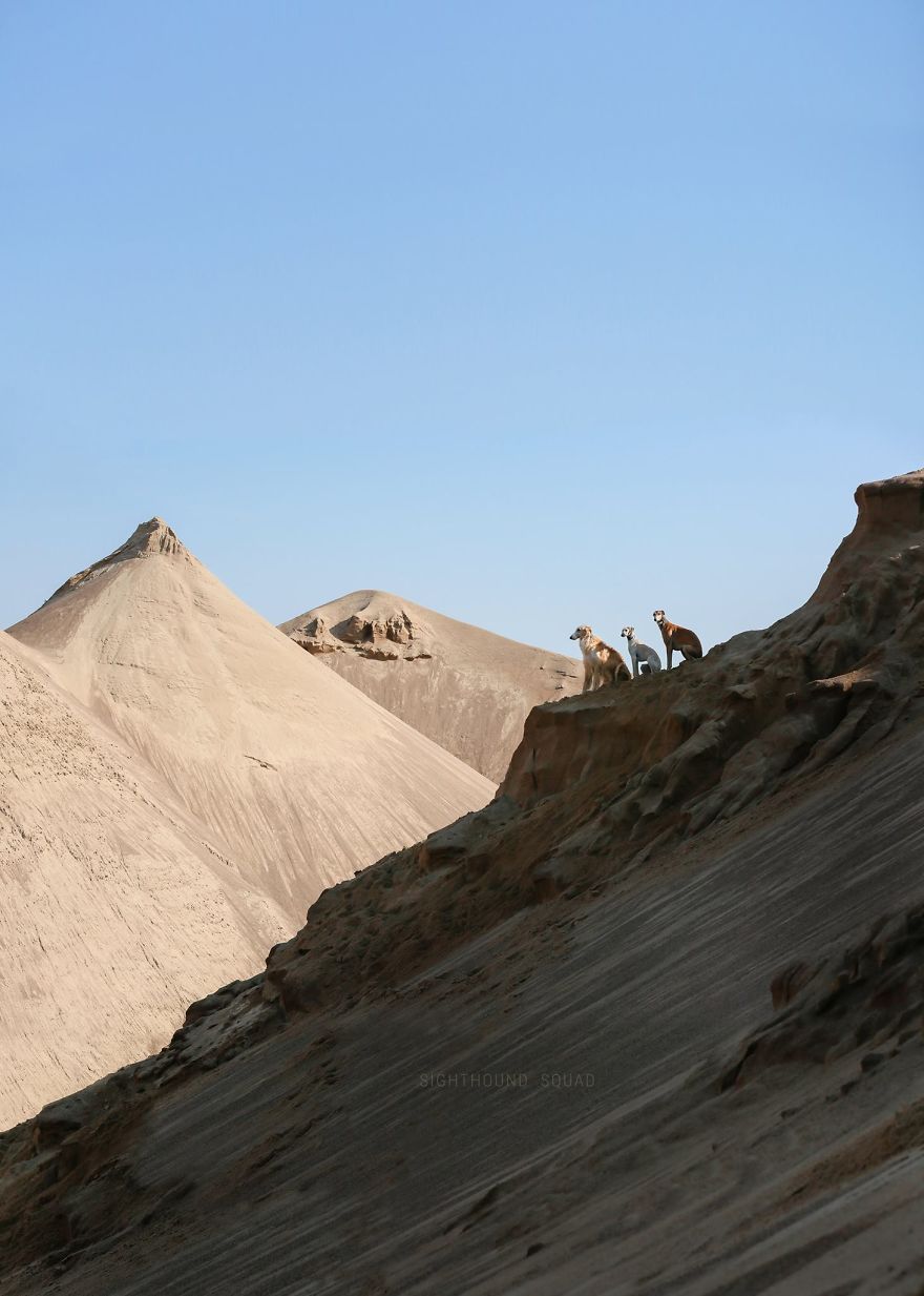 Sighthound Squad Photographic Journey Across Lithuania