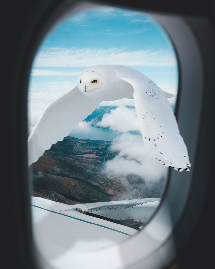 Surreal Photo Manipulations That I Created