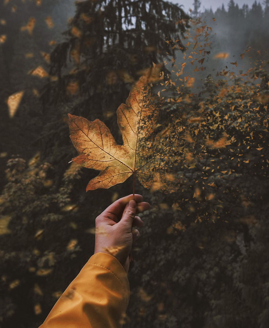 Surreal Photo Manipulations That I Created