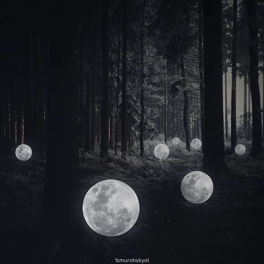 Surreal Photo Manipulations That I Created