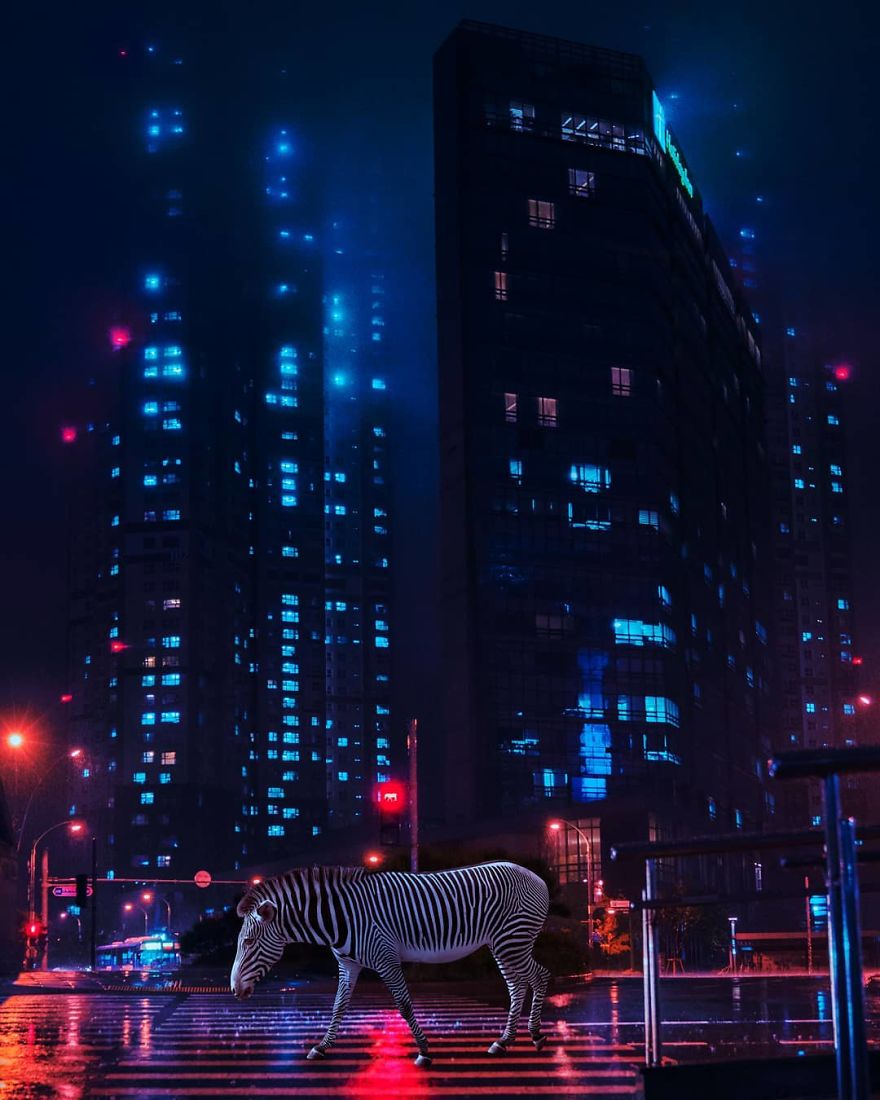 Surreal Photo Manipulations That I Created