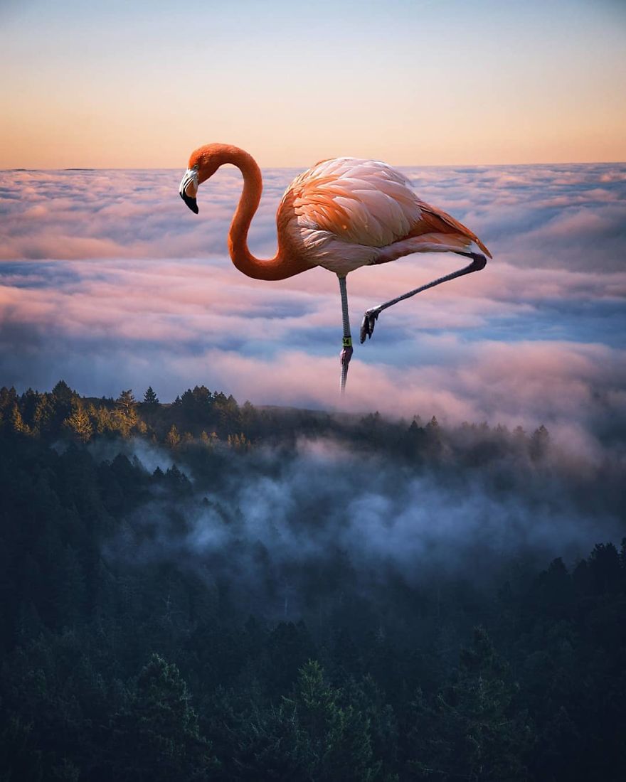 Surreal Photo Manipulations That I Created