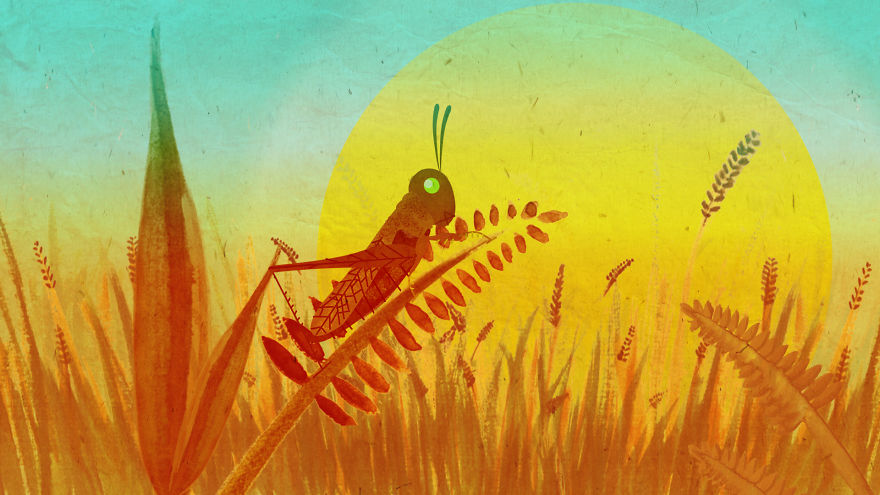 Think Before You Squish Think Before You Squish