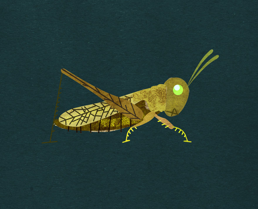 Think Before You Squish Think Before You Squish