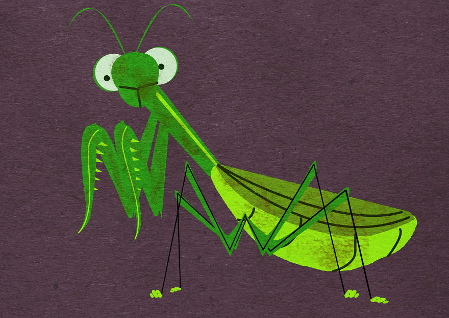 Think Before You Squish Think Before You Squish