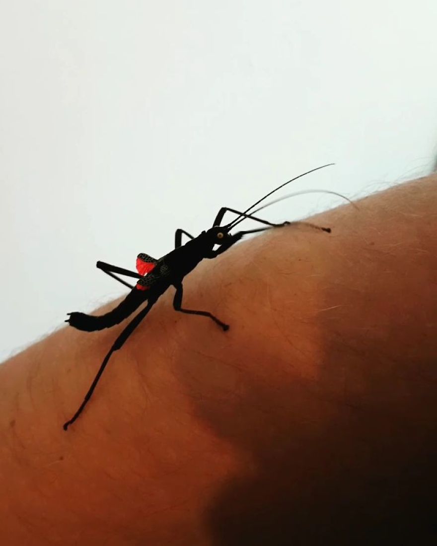 Think Before You Squish Think Before You Squish