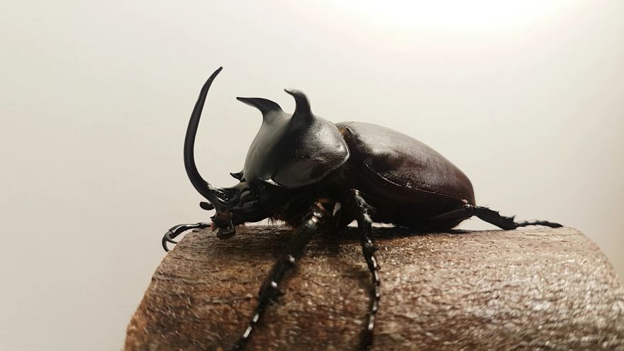 Think Before You Squish Think Before You Squish