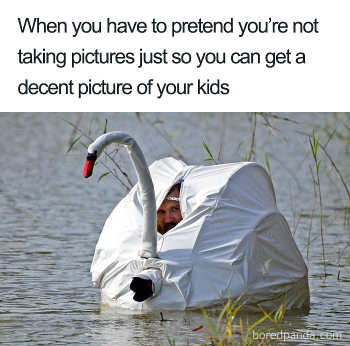Man disguised as a swan in a pond as part of a funny mom meme about stealthily taking kids' pictures.