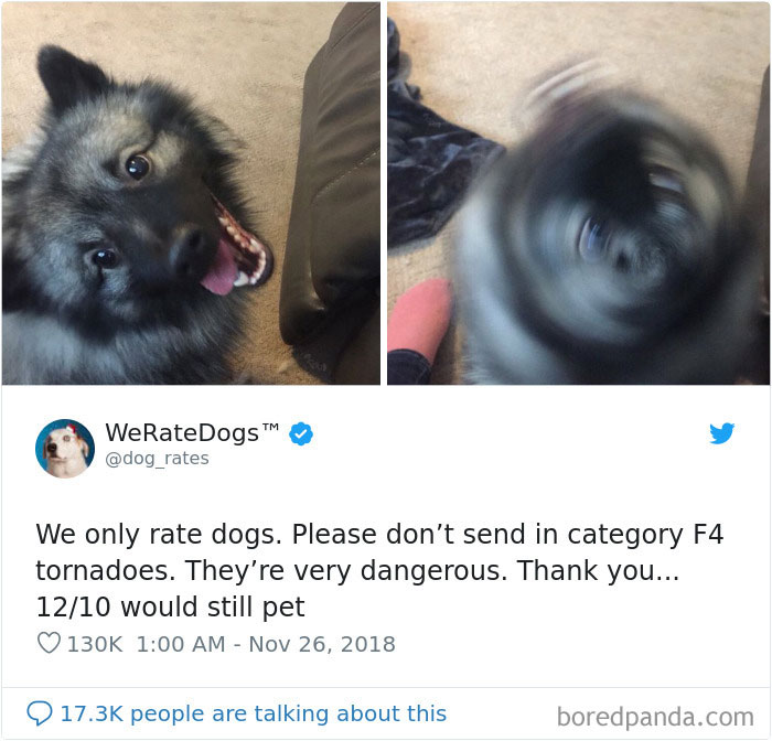 We Rate Dogs